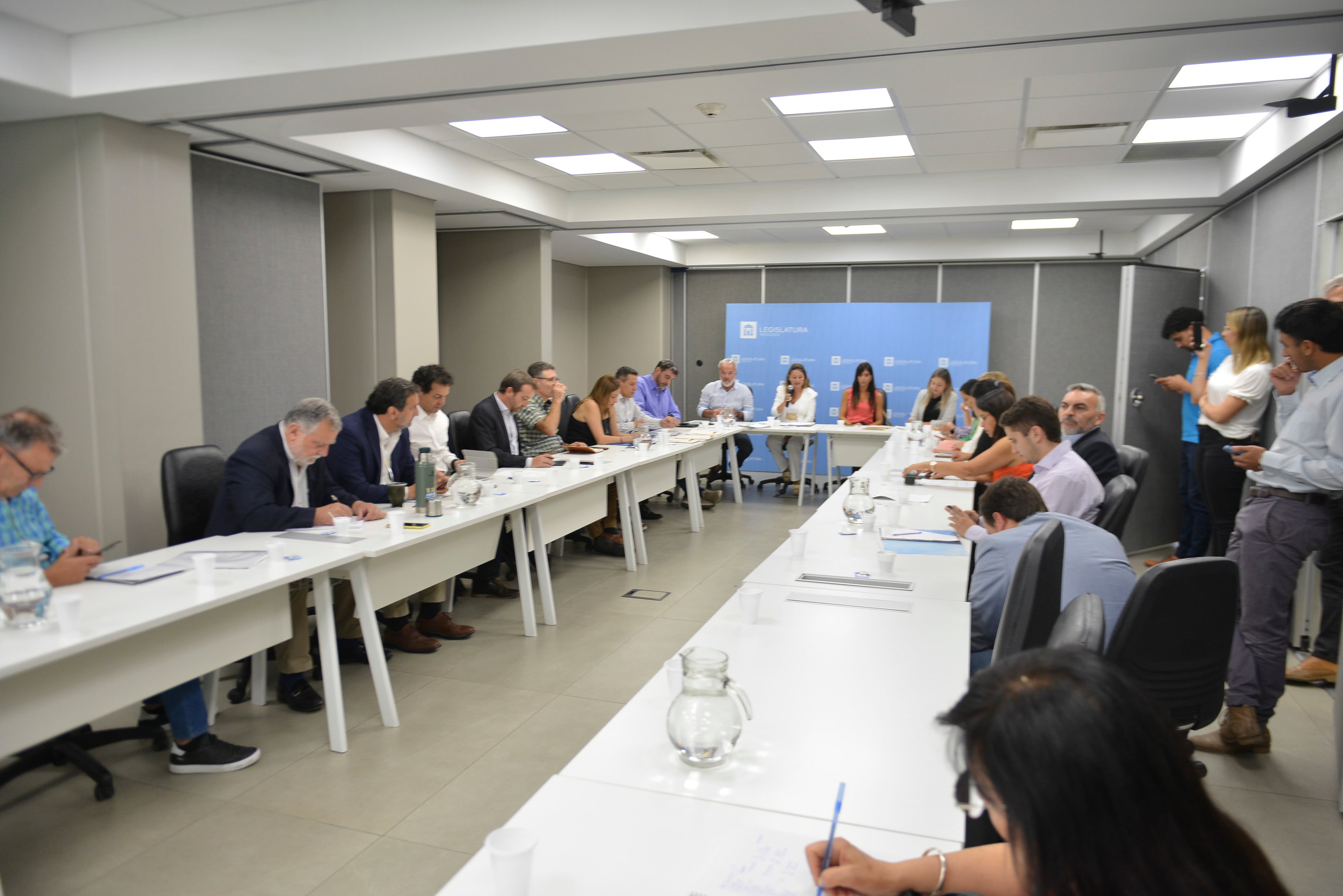 En el Senado no se permite la conexión por Zoom y aseguran que los senadores, aun viviendo a varios kilómetros, asisten presencialmente.