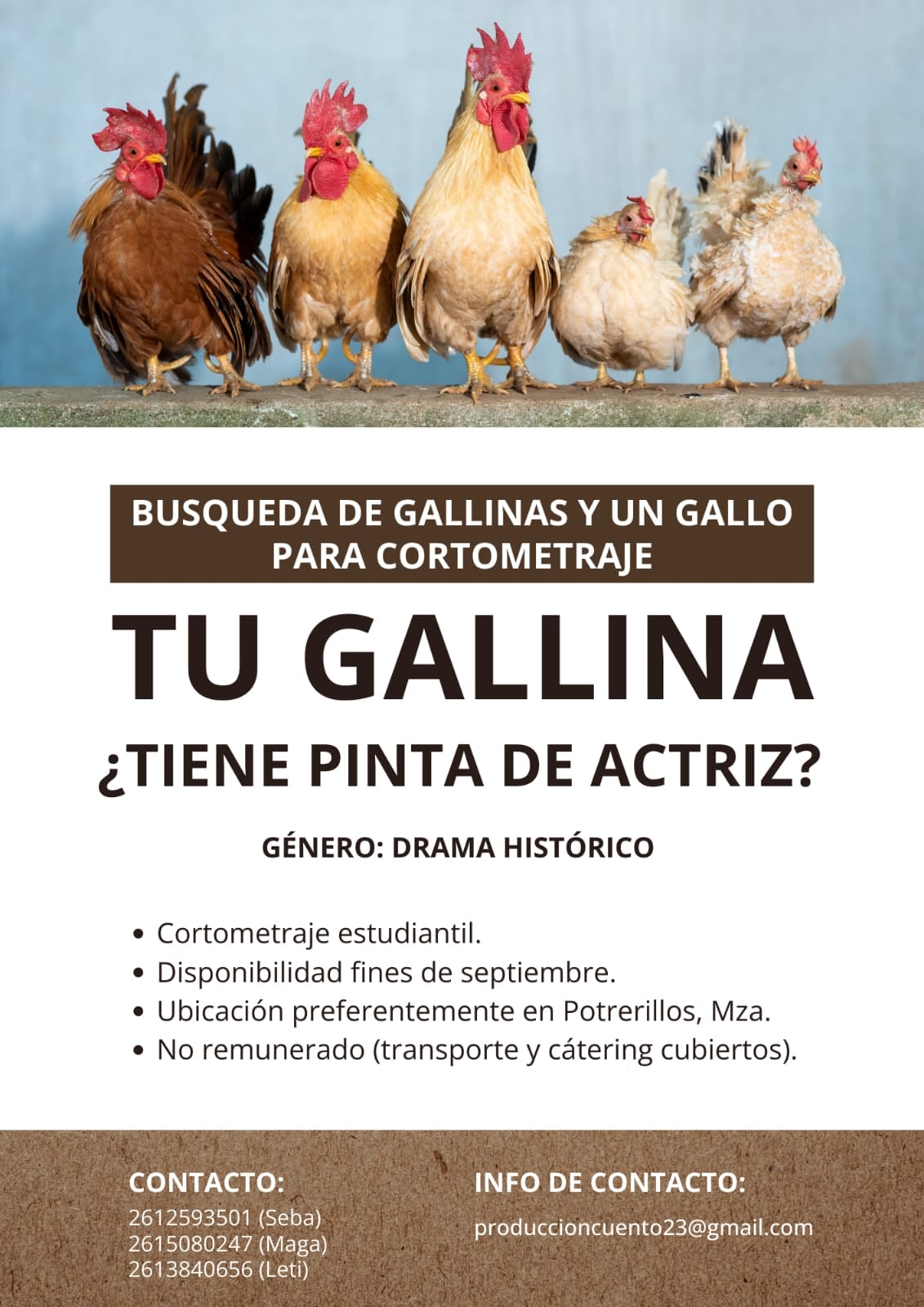 "Tu gallina ¿Tiene pinta de actriz?". 