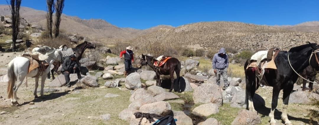 Por encargo del intendente, niños del paraje Angastaco recibieron sus televisores previo al mundial. Foto: Facebook/Cultura Angastaco