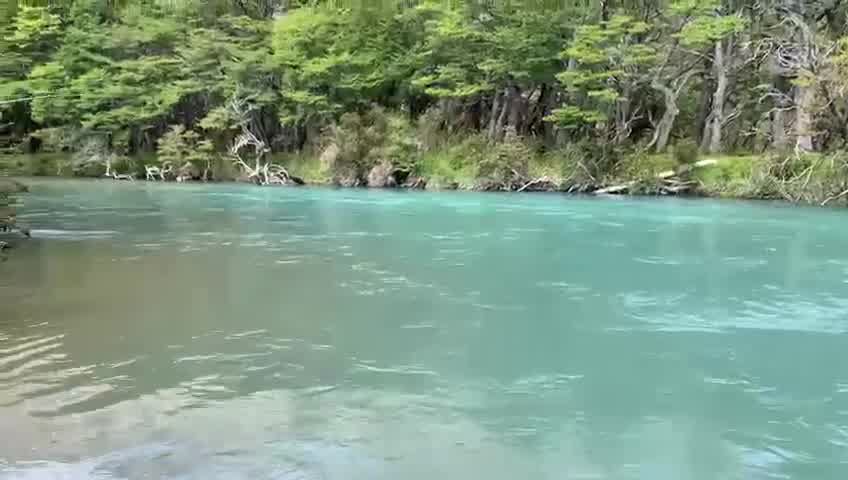 El paraíso escondido en la Patagonia donde se pueden pescar salmones gigantes