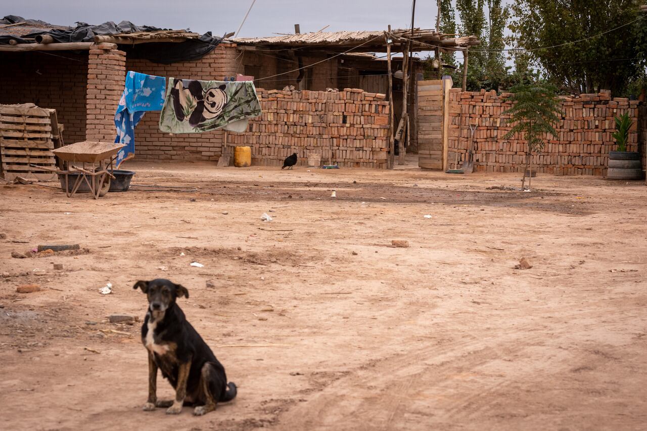 La cifra creció casi un 10% en relación al 2023. 

Foto: Ignacio Blanco / Los Andes 