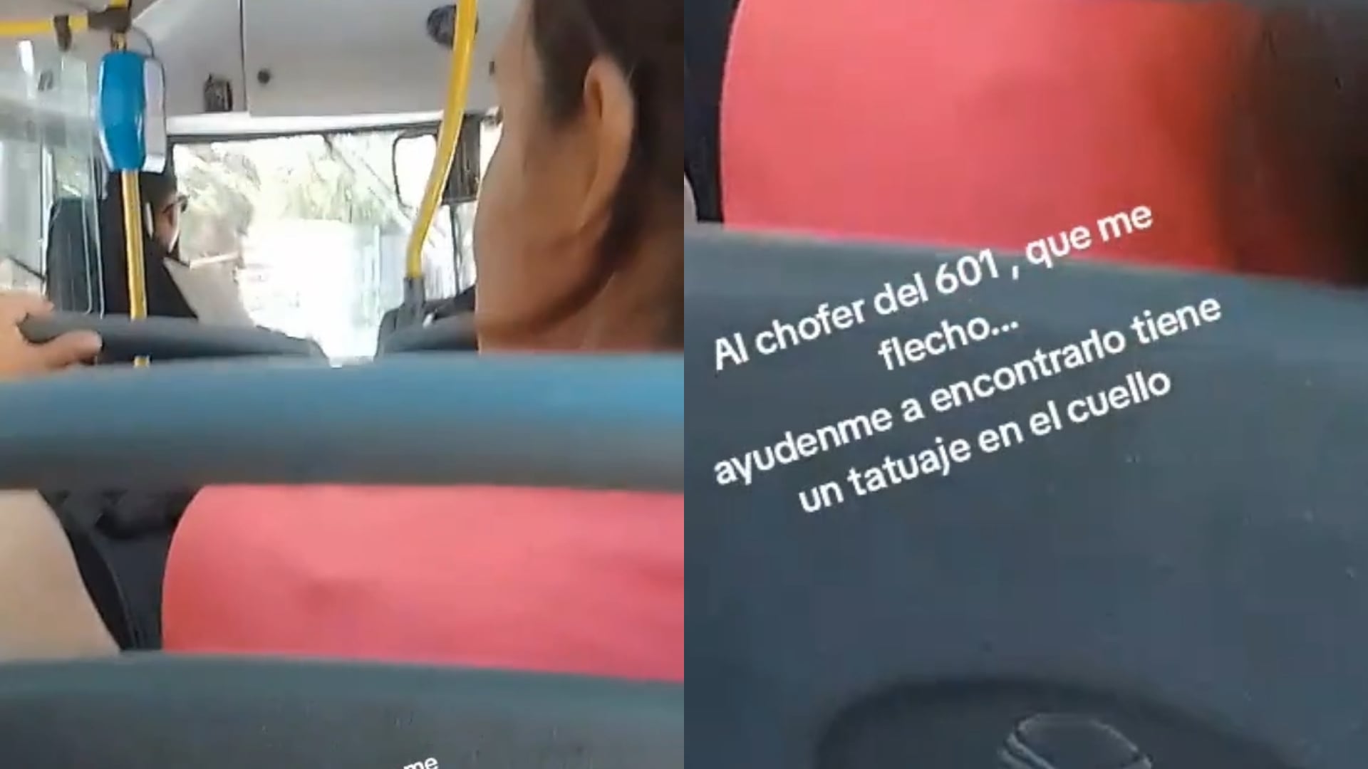 Una joven busca al chofer que la enamoró.