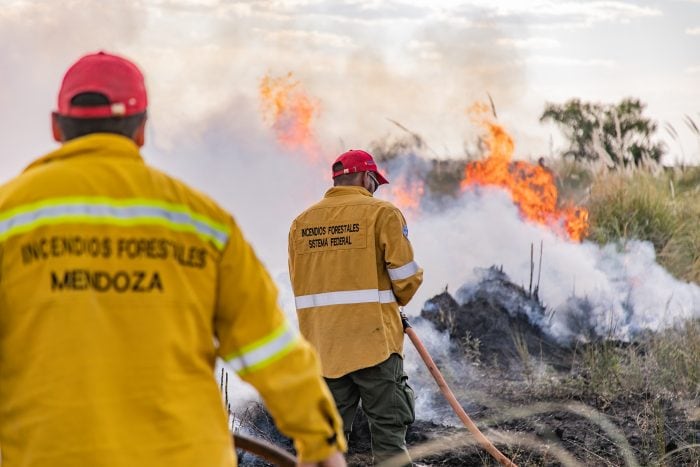 Incendio en El Carrizal - 