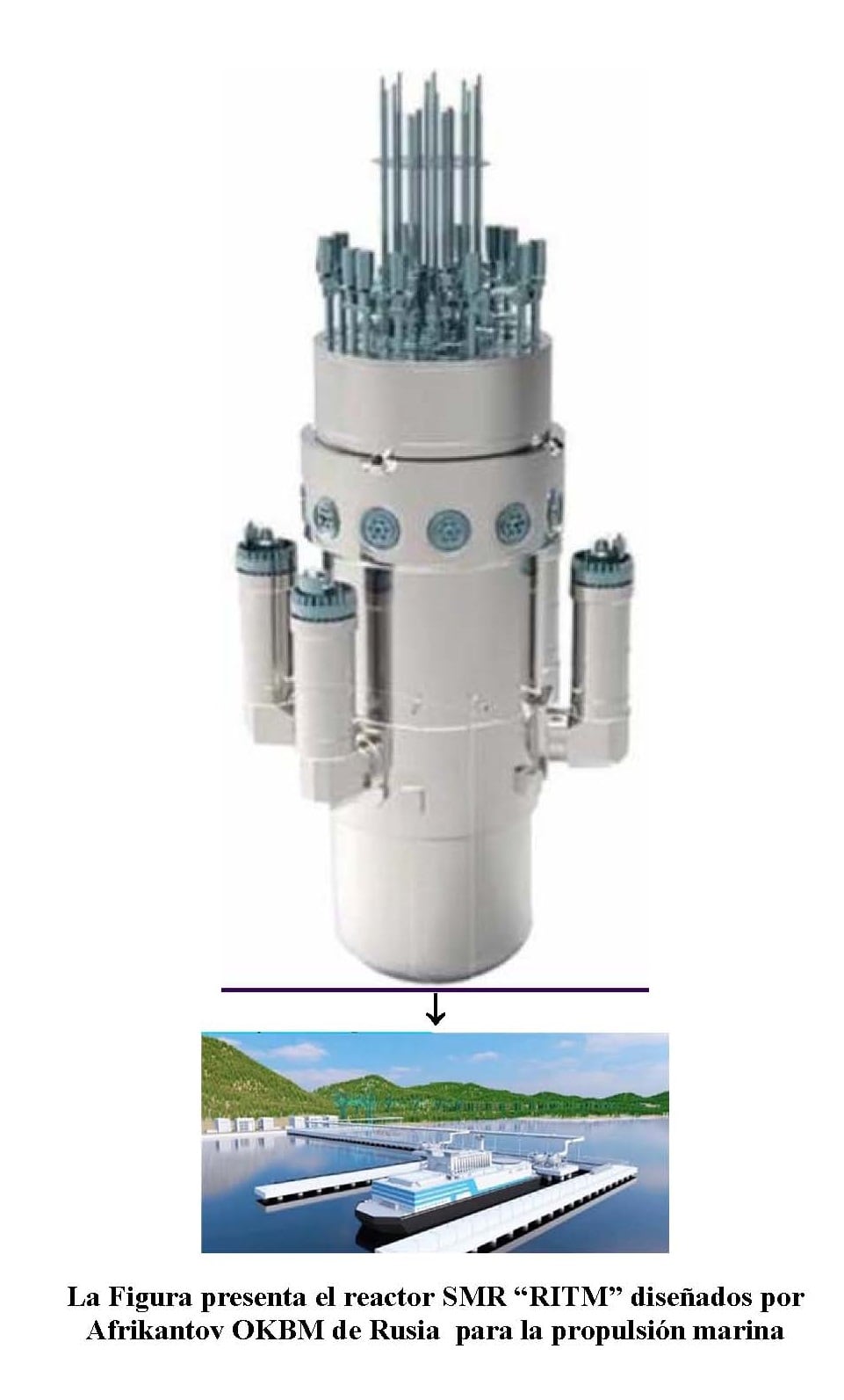 La Figura presenta el reactor SMR “RITM” diseñados por Afrikantov OKBM de Rusia  para la propulsión marina.