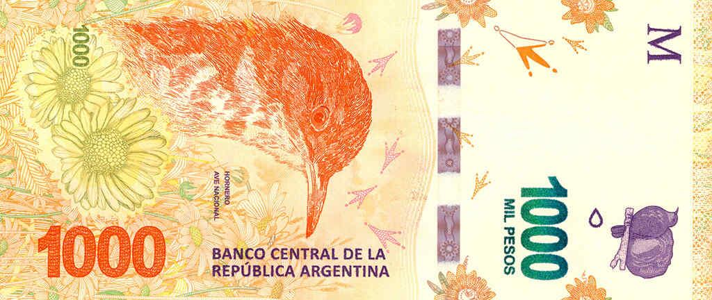 El billete de 1.000 pesos con el hornero entró en circulación en 2017. (BCRA/Flickr)