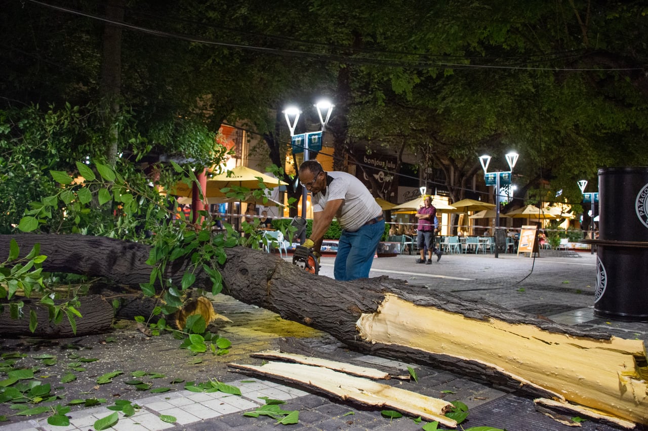 Se quebró un árbol en la Peatonal y una de las mitades quedó suspendida en los cables de luz, eñ peso del tronco arrastró al poste de luz que está llegando a la esquina.

Foto: Mariana Villa / Los Andes