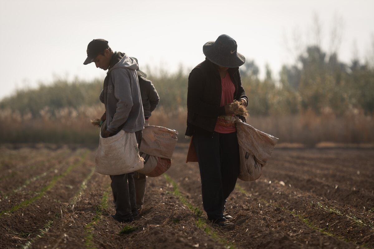 La familia siempre ha tenido una meta: trabajar para un futuro mejor. Foto: Ignacio Blanco / Los Andes