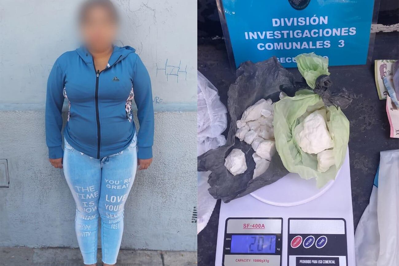 "Mamá dealer", la mujer detenida en Constitución ocultaba cocaína en un pañal (Policía).