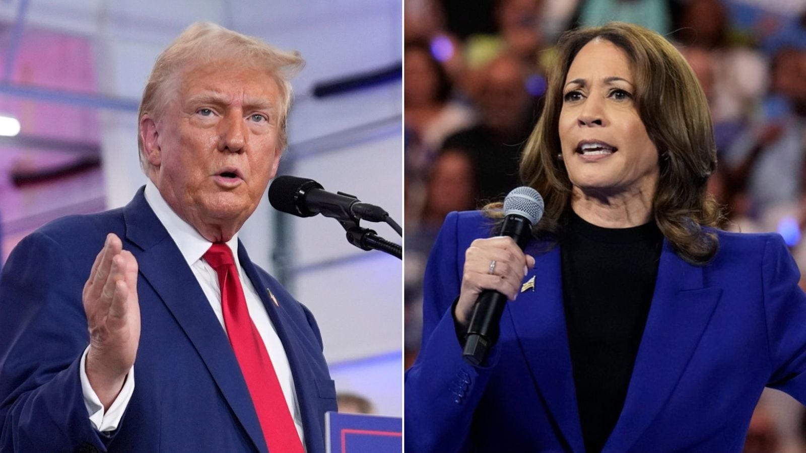 Donald Trump y Kamala Harris.