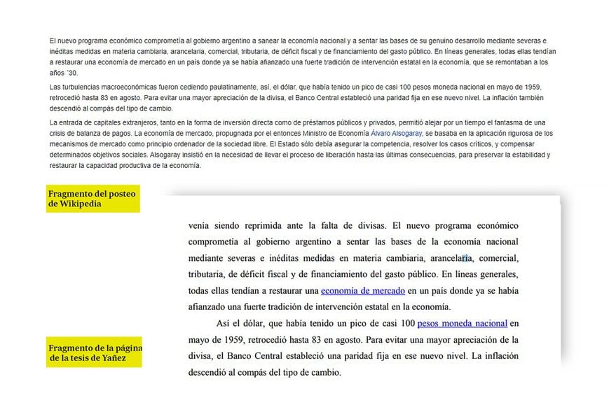 La Tesis de Yañez y las publicaciones en Wikipedia. Gentileza /La Nación.