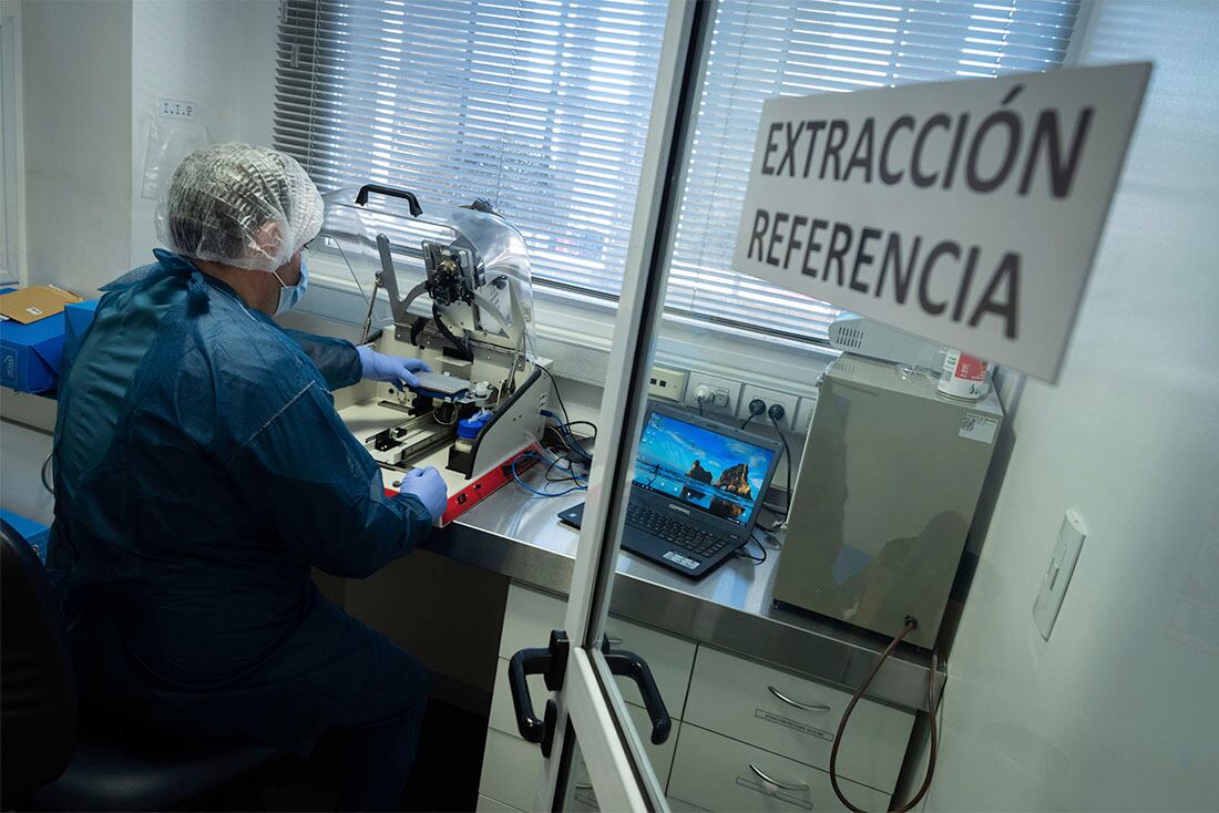 Detectives de ADN
El Laboratorio de Huellas Genéticas que tiene la provincia de Mendoza, fué clave para resolver los últimos femicidios que se produjeron en la provincia. 
El laboratorio una el sistema CODIS que es el mismo que usa el FBI 
Foto: Ignacio Blanco / Los Andes 