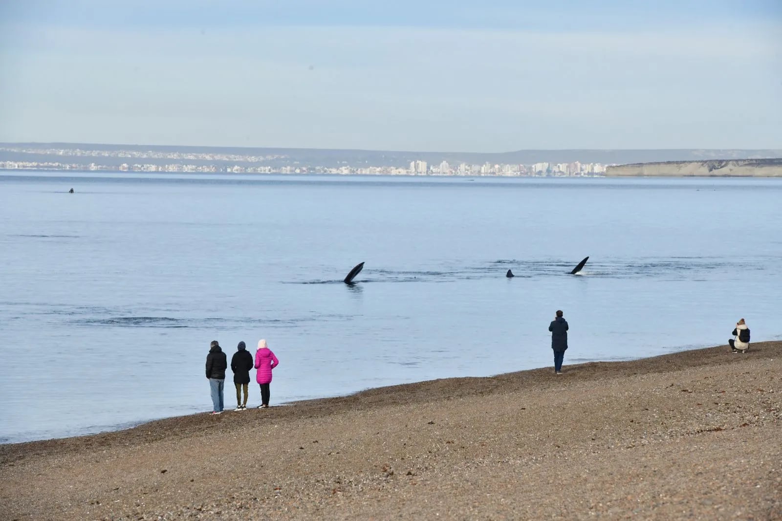 Así es la Playa Las Canteras, en Puerto Madryn