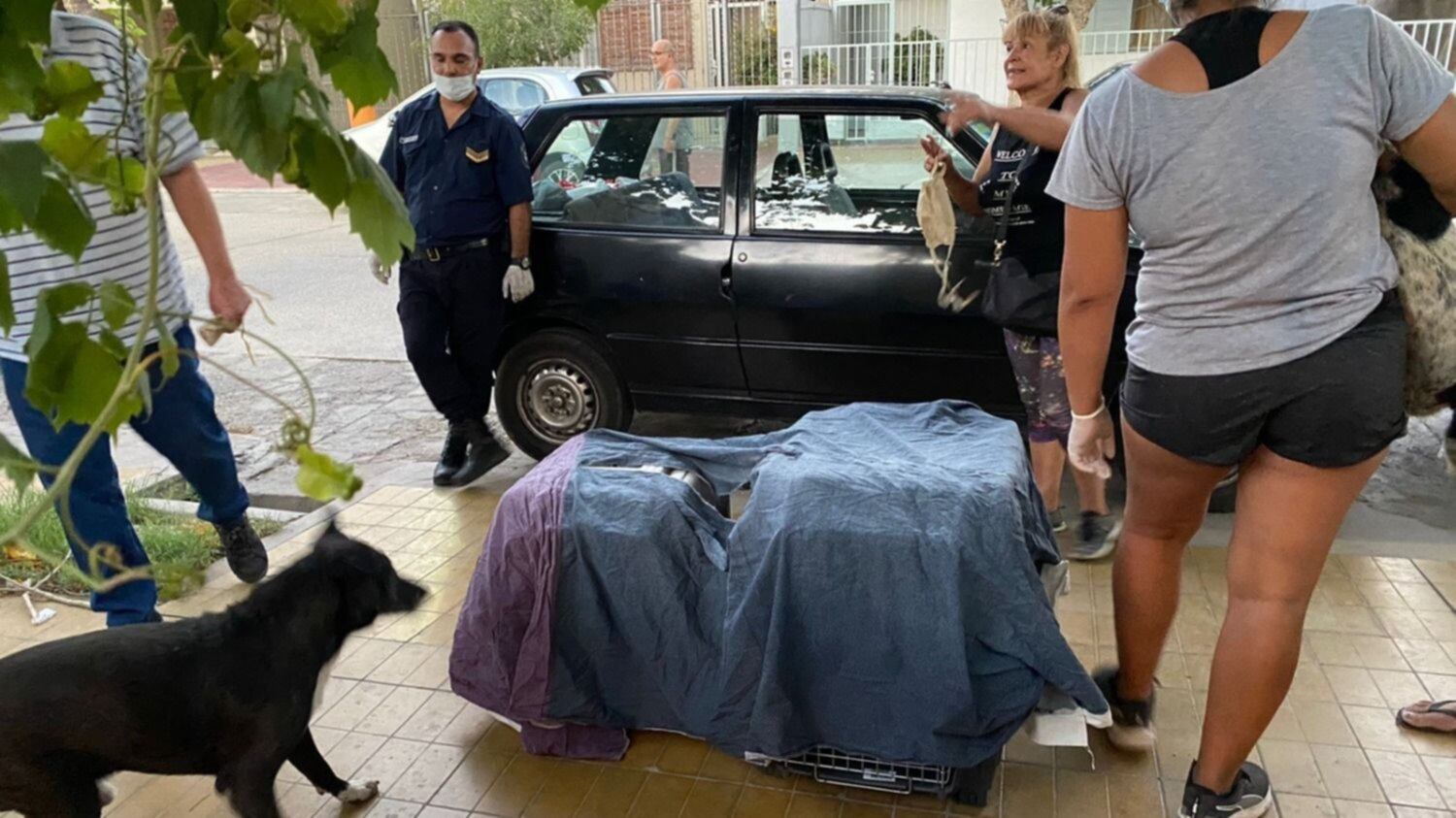 Una sanjuanina mató a perros y gatos y los ocultó para “absorber sus energías”. / Foto: Gentileza