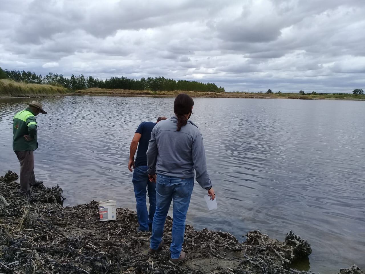 La denuncia de la Fundación Cullunche advertía sobre la posible presencia de agroquímicos, además de la poca cantidad de agua.