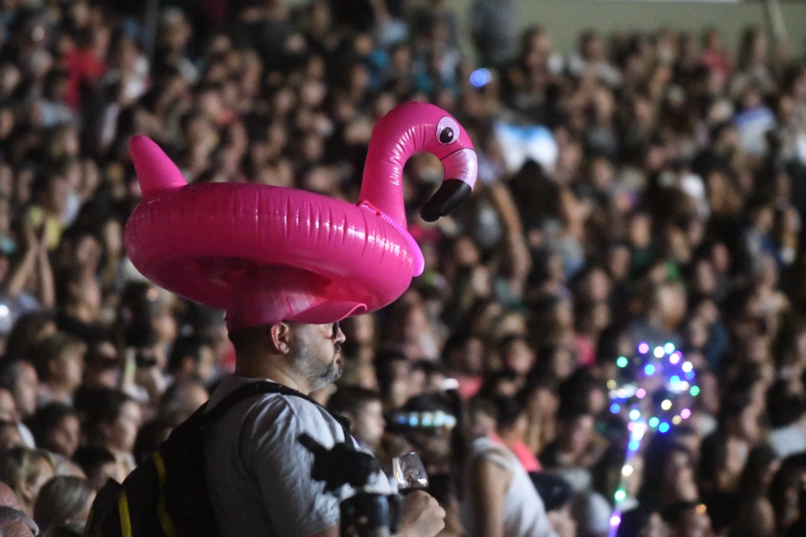 Fiesta Nacional de la Vendimia 2023. Foto: Marcelo Rolland / Los Andes