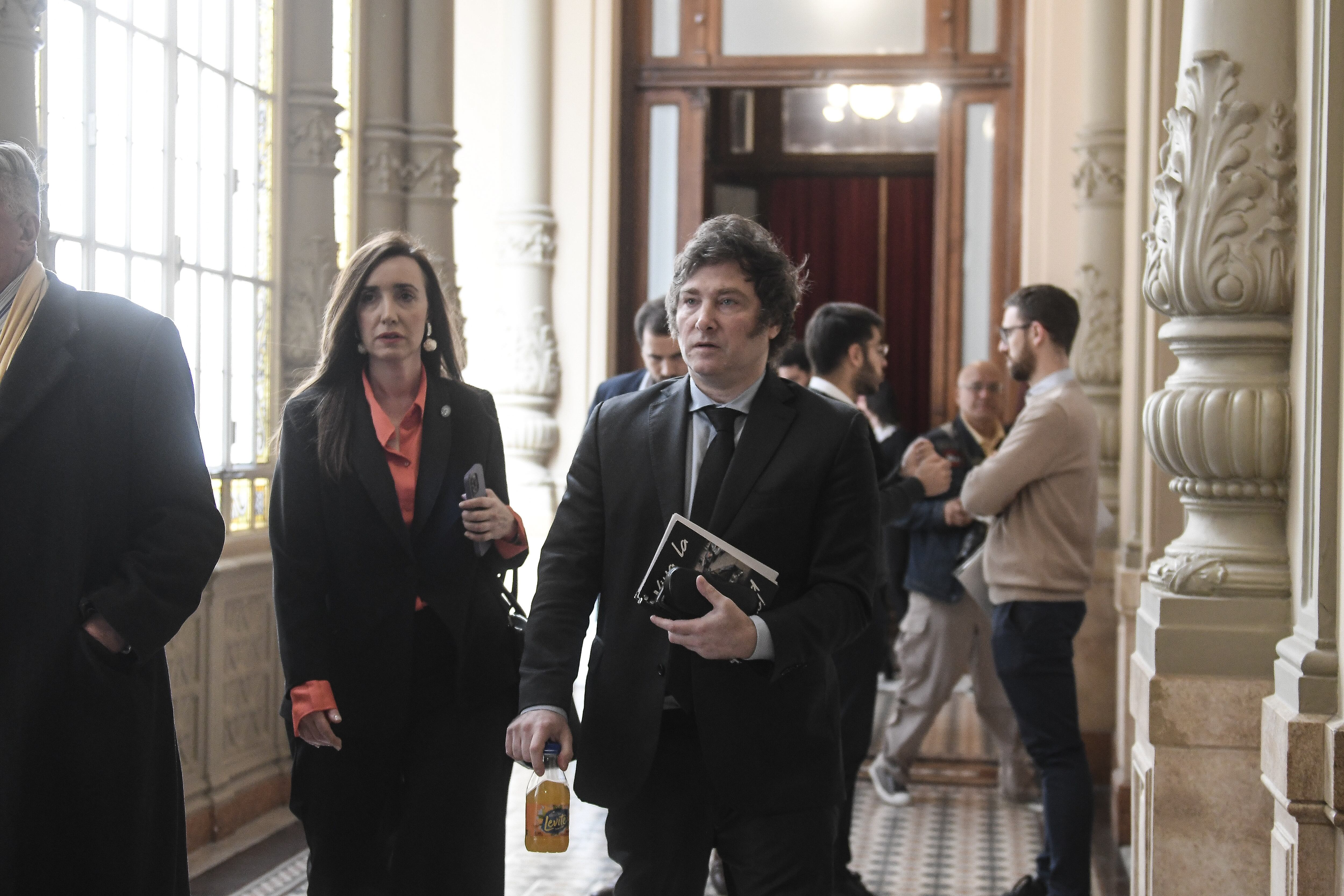 Javier Milei en la cámara de Diputados. Foto: Federico Lopez Claro