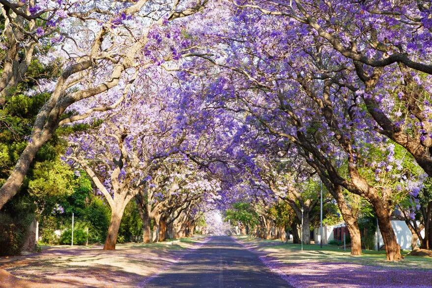 Herbert Baker Street (Pretoria, Sudáfrica).