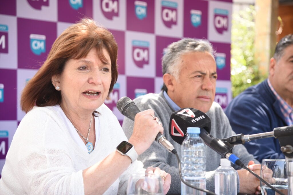 Patricia Bullrich, presidenta del PRO, lidera varias encuestas.