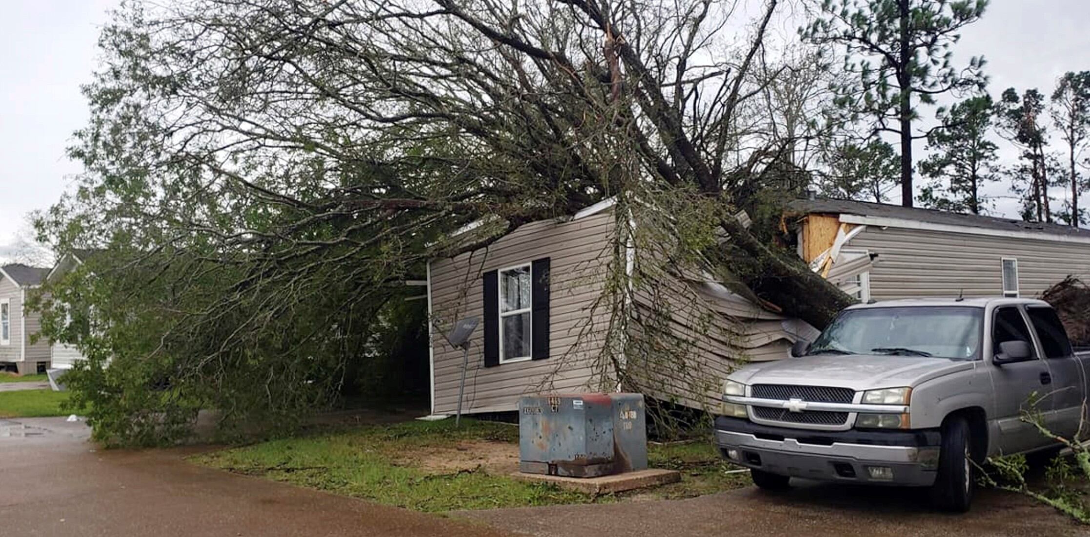 Un árbol destruyó parte de una casa en Luisana.