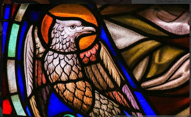 Detalle del  vitral que representa un Águila, símbolo de San Juan Evangelista, en la catedral del santo Rumbold en Mechelen, Bélgica.