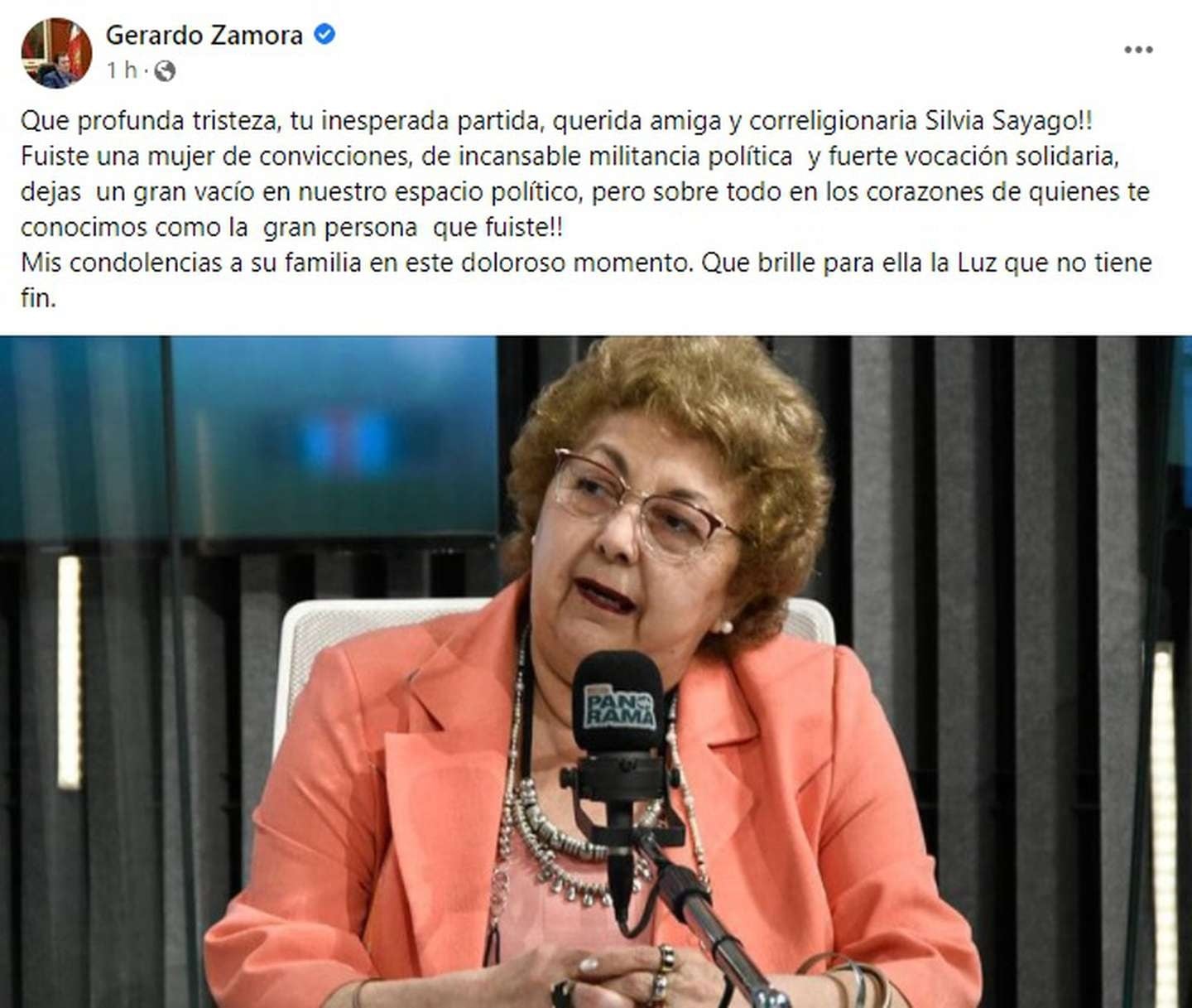 Gerardo Zamora, gobernador de Santiago del Estero, despidió a la diputada nacional Silvia Sayago