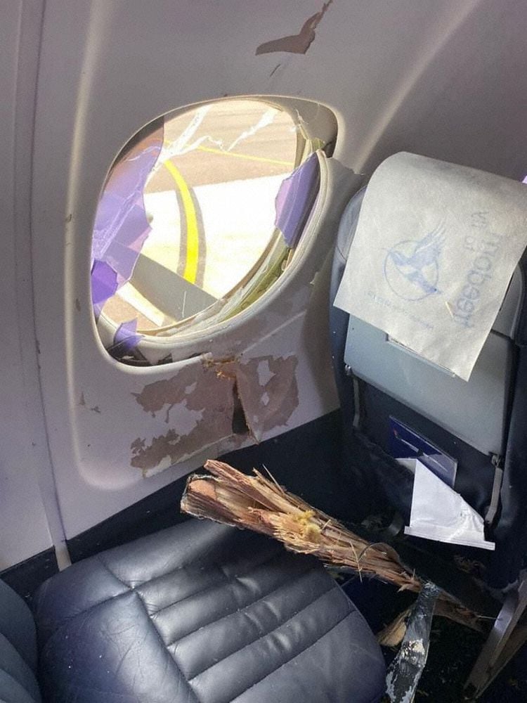 Un ave de gran tamaño choca contra un avión