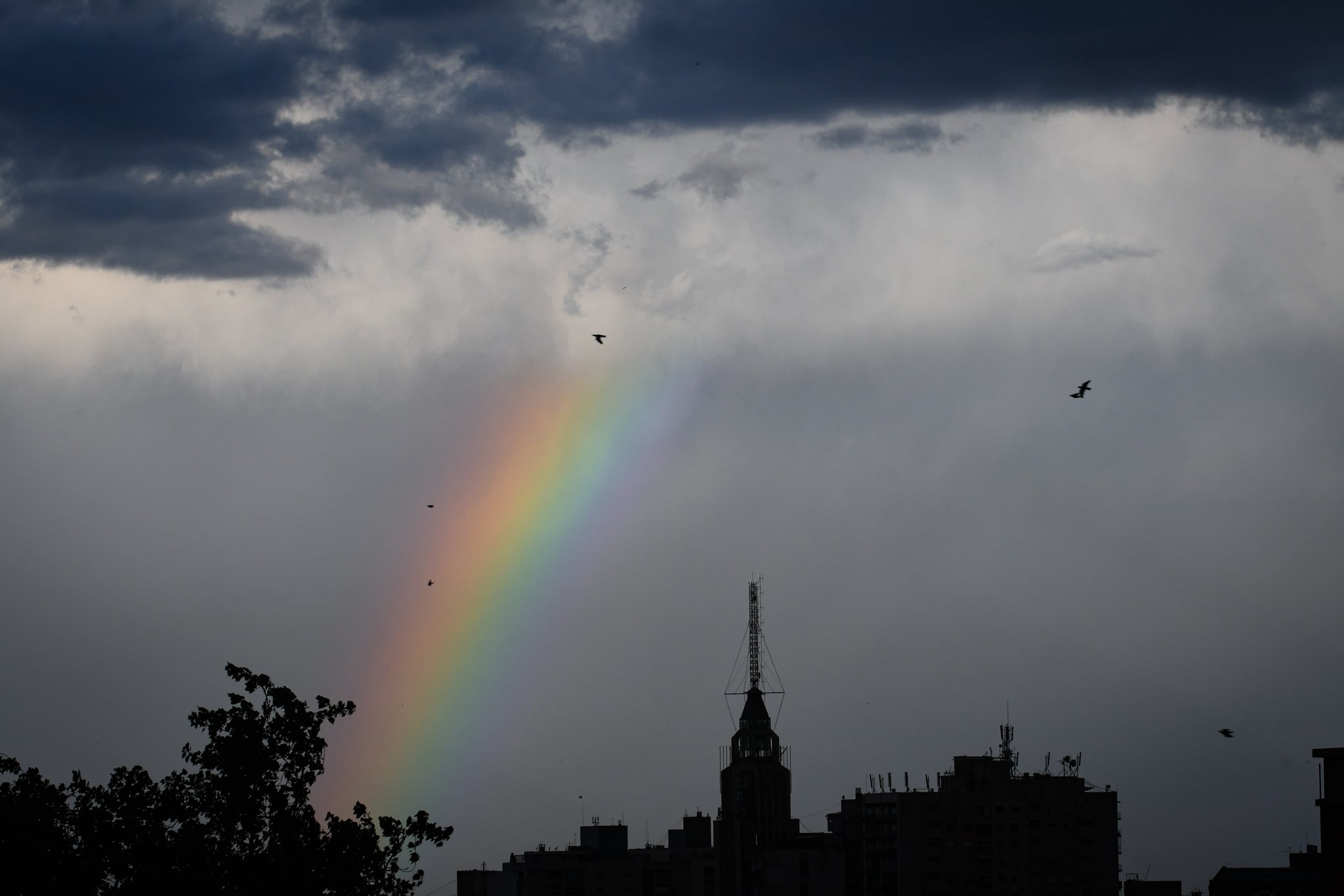 Colores después de la lluvia Foto: Claudio Gutiérrez