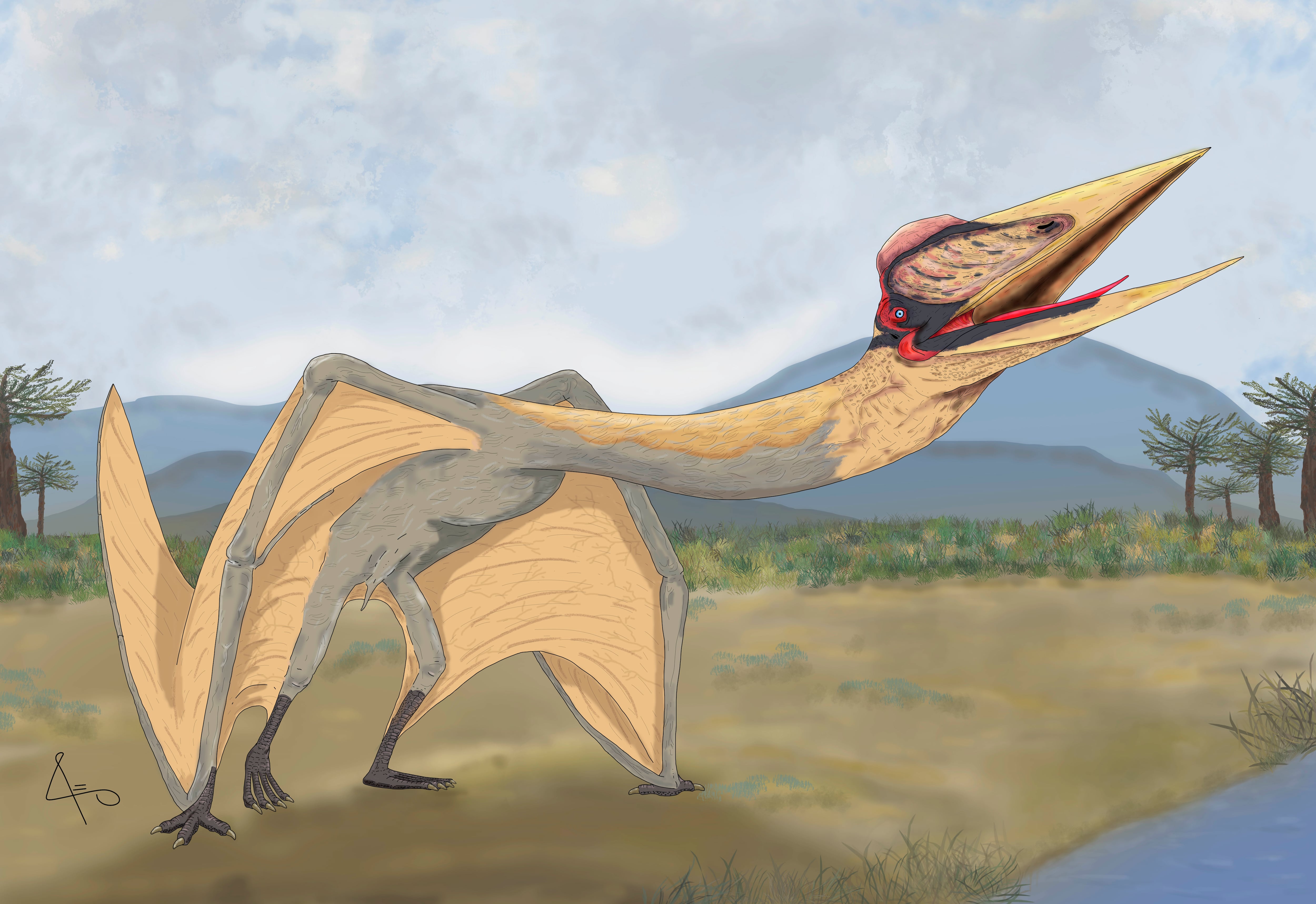 Thanatosdrakon amaru, el pterosarurio más grande de Sudamérica.