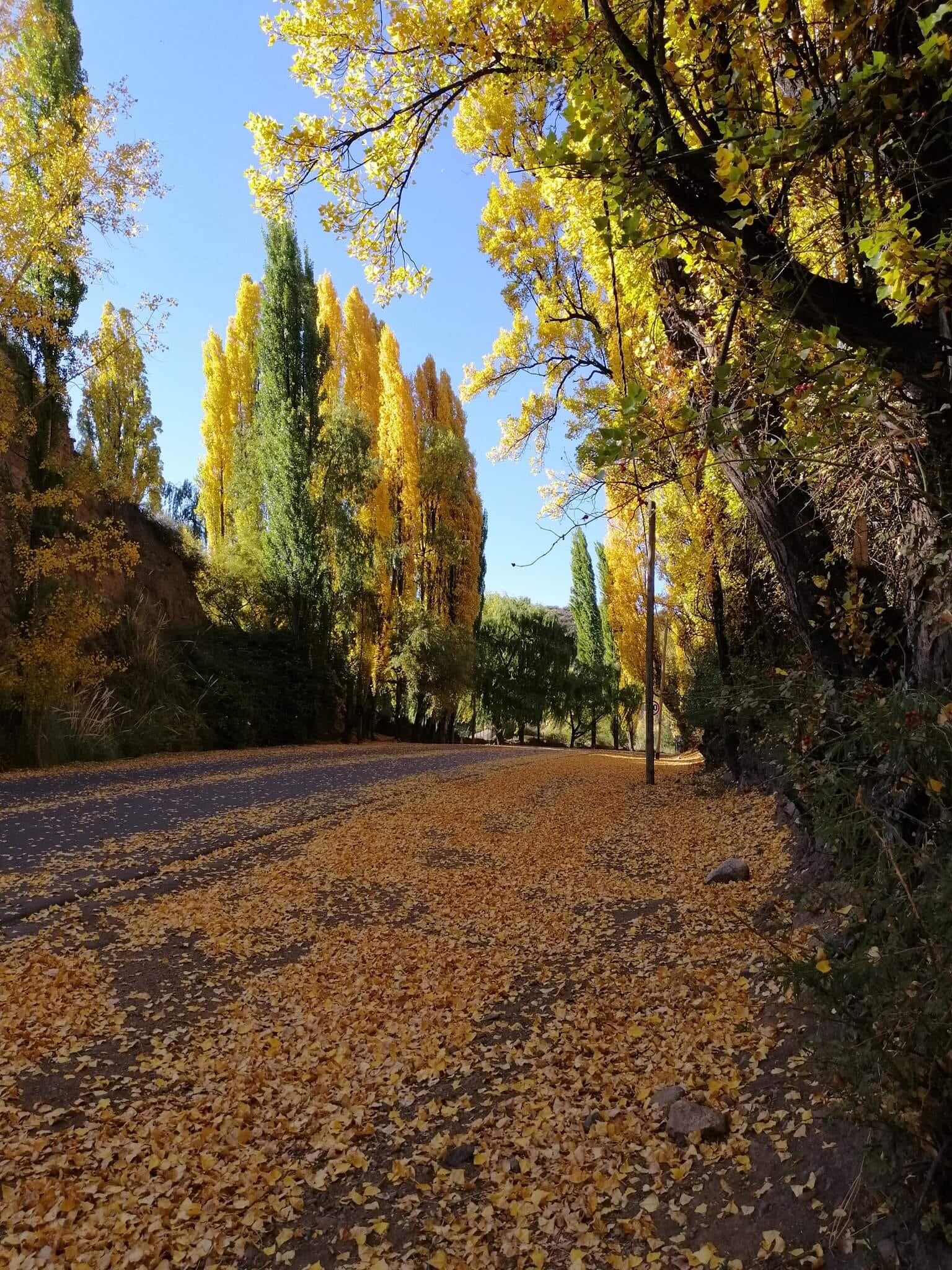 Las fotos de Potrerillos que son furor en redes. / Foto: Patty Varas