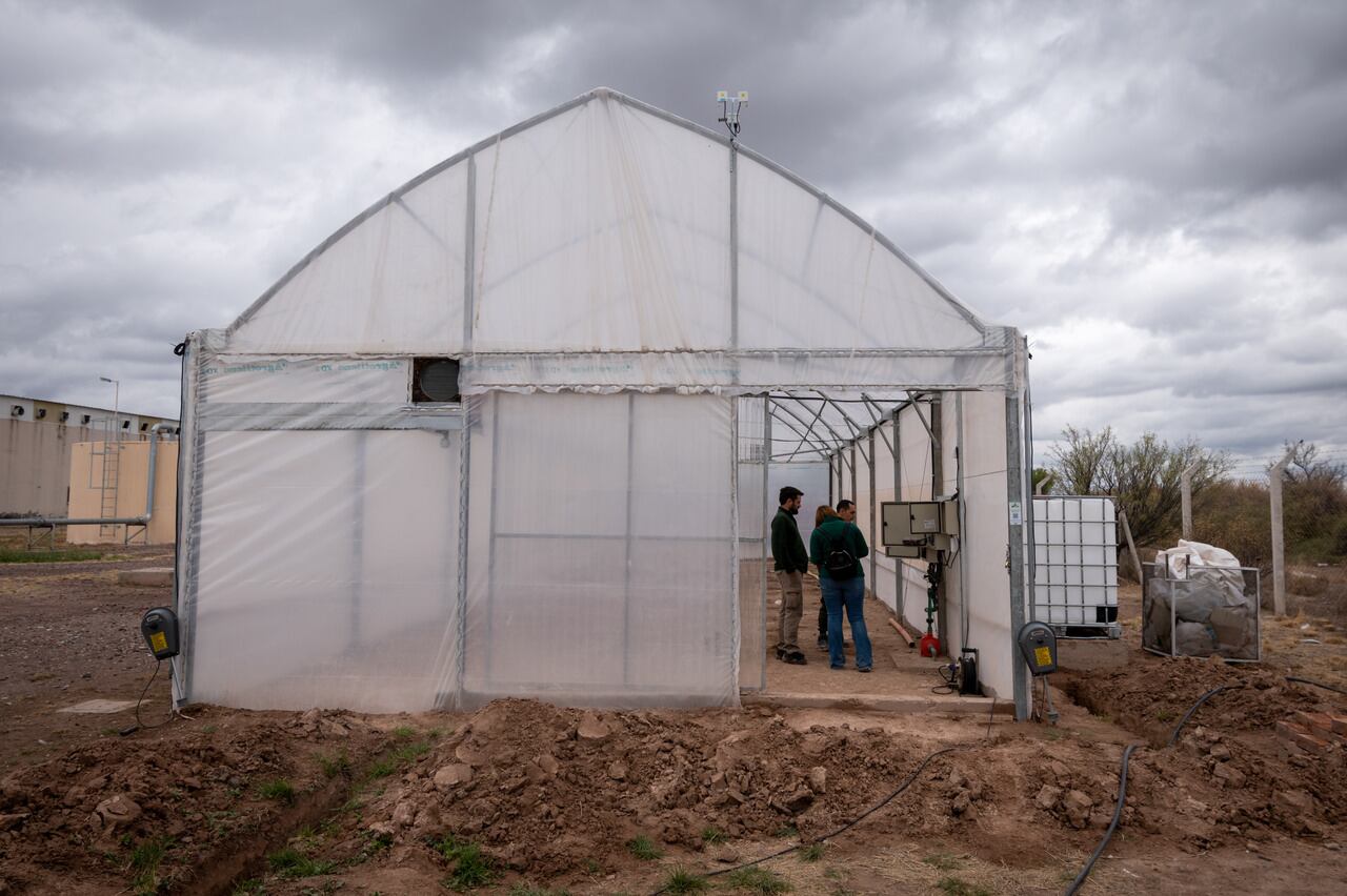 Así funcionará el laboratorio experimental de Mendoza para controlar la producción de cannabis medicinal. Foto: Ignacio Blanco / Los Andes.