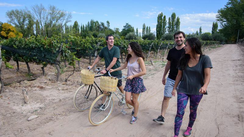 La propuesta es recorrer bodegas y otros lugares de Maipú en bicicleta. - Ignacio Blanco / Los Andes