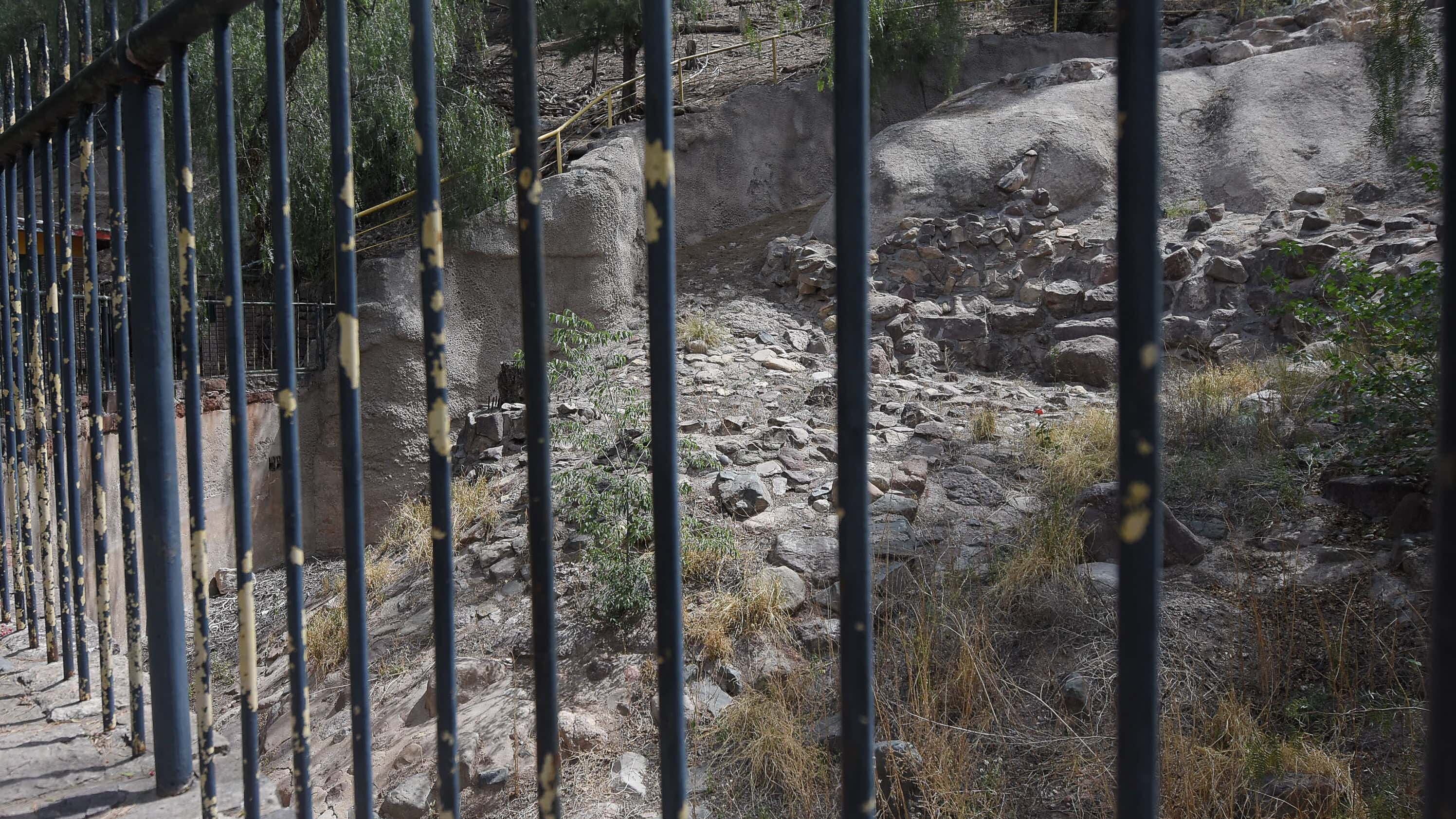 Ecoparque de Mendoza
Mientras se esperan las obras en el actual Ecoparque algunos animales continuan en el ex zoo de Mendoza  Foto: Claudio Gutiérrez 
