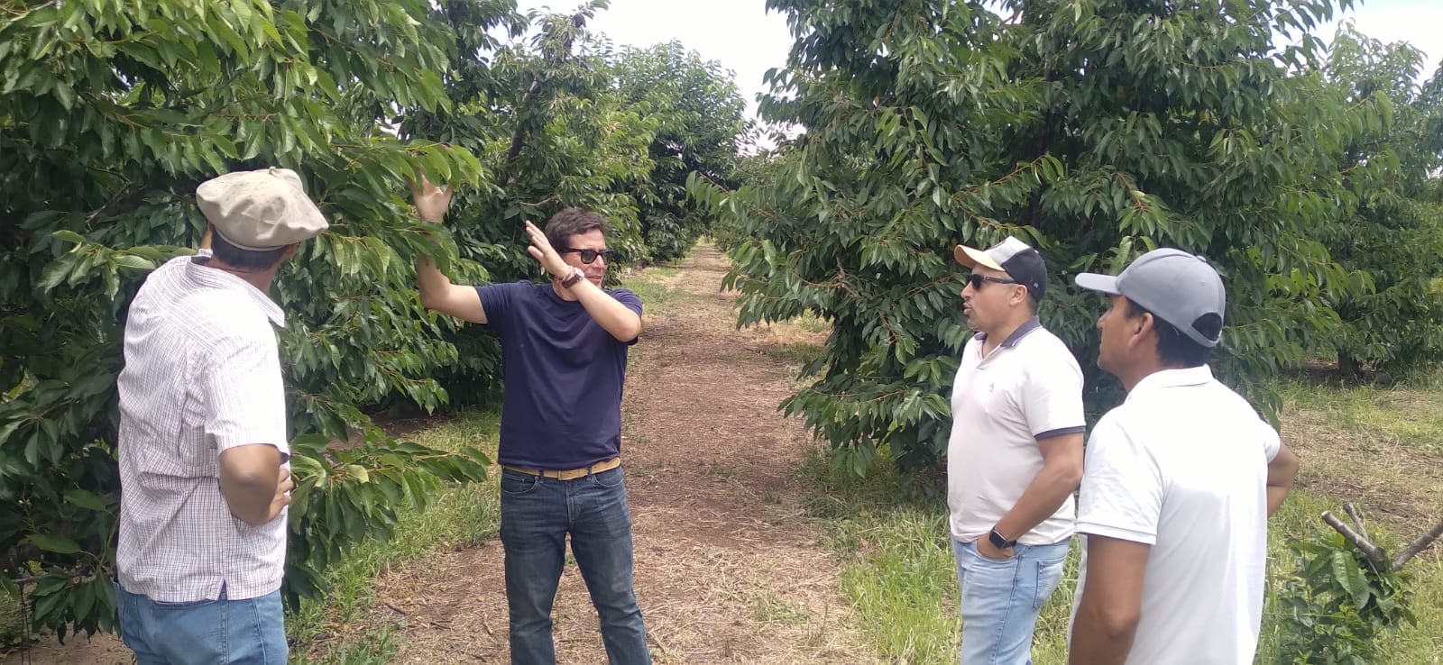 El ingeniero agrónomo chileno Jorge Astudillo Galvez, durante su visita a la provincia, invitado por la Cámara de Cerezas de Mendoza y el Ministerio de Producción. Foto: Gentileza