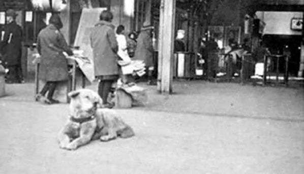 
    Hachiko en la estación de trenes. Foto gentileza.
   