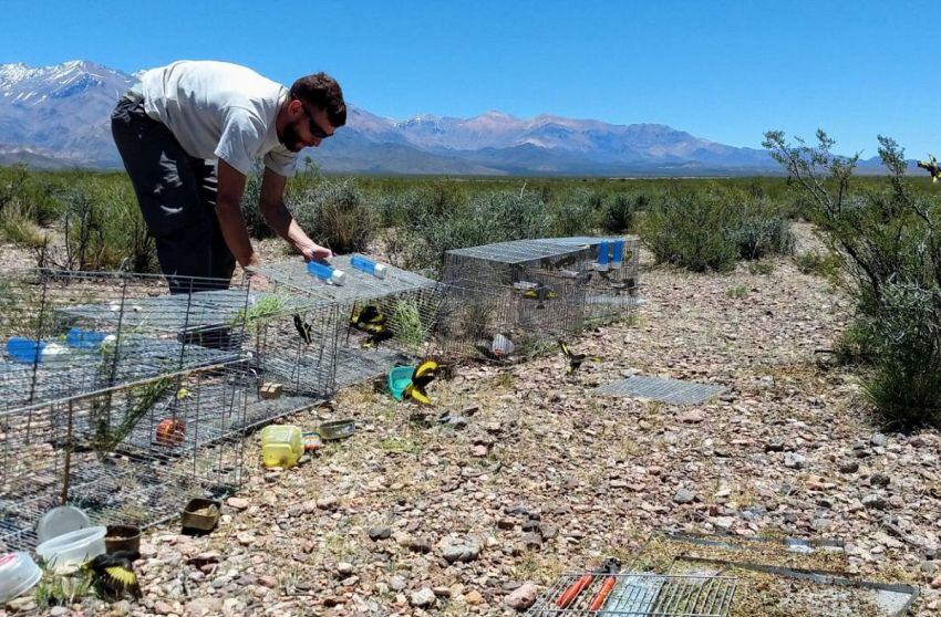 
    Prensa Secretaría de Ambiente
   