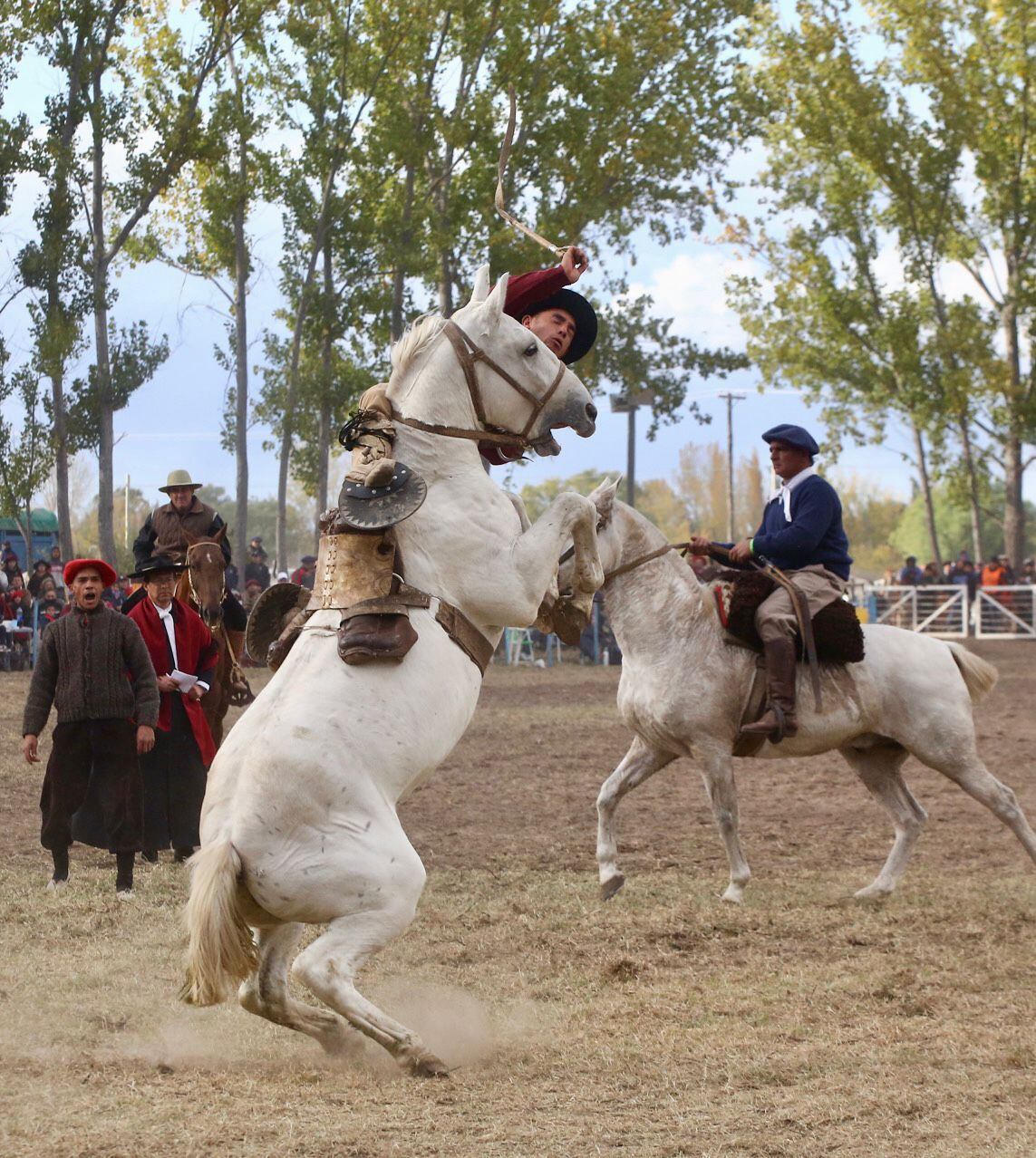 La adrenalina que despedían los jinetes sobre los pingos y el calor del público dio un gran cierre a la fiesta.