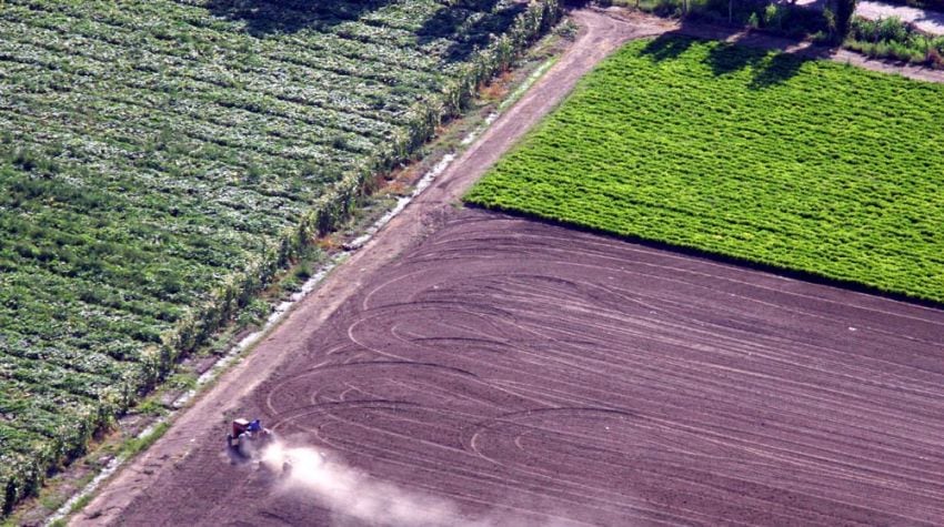 
    Recambio generacional. Hay preocupación entre las cámaras que nuclean a los productores ya que es cada vez más difícil entusiasmar a los jóvenes en la actividad.
   