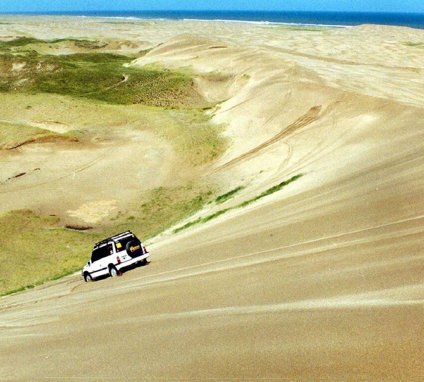 
    Necochea. Una alternativa espectacular. Practicar 4x4 en el desierto de dunas en Médano Blanco.
   