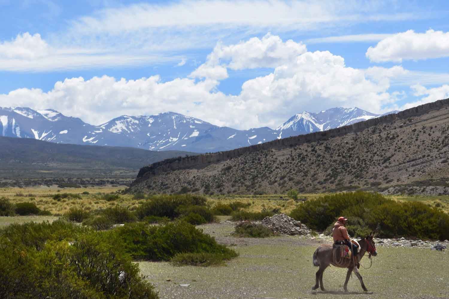 Mapuches de Mendoza: quiénes son, cómo viven y cuáles son sus reclamos 