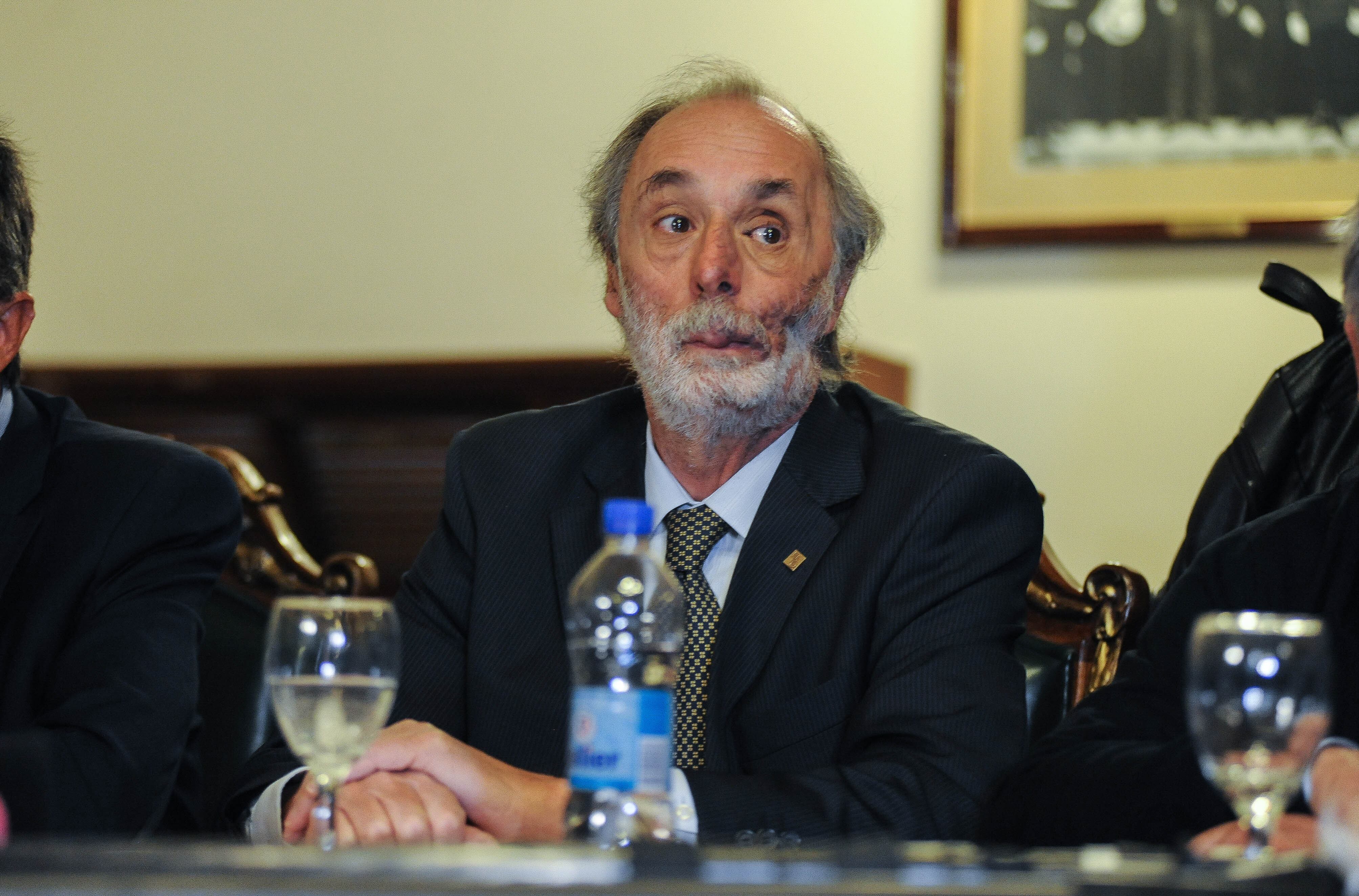 Pablo Tonelli, diputado nacional del PRO y consejero instructor en el expediente Bento - Foto: Federico López Claro