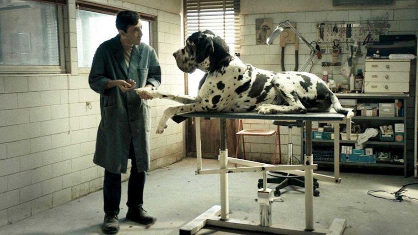 
    Dogman. El gran realizador italiano Matteo Garrone ofrece con esta película un sólido ejemplo del cine de género.
   