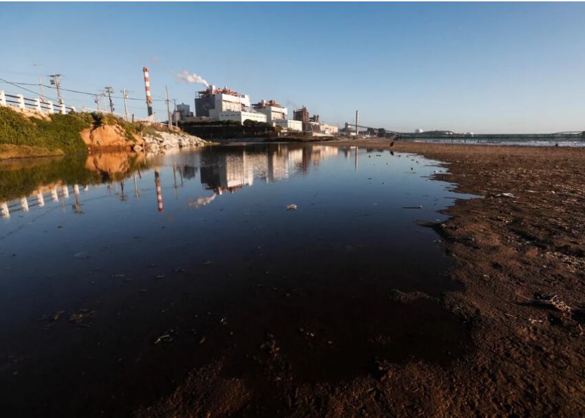 
    Gentileza/Clarín.
   