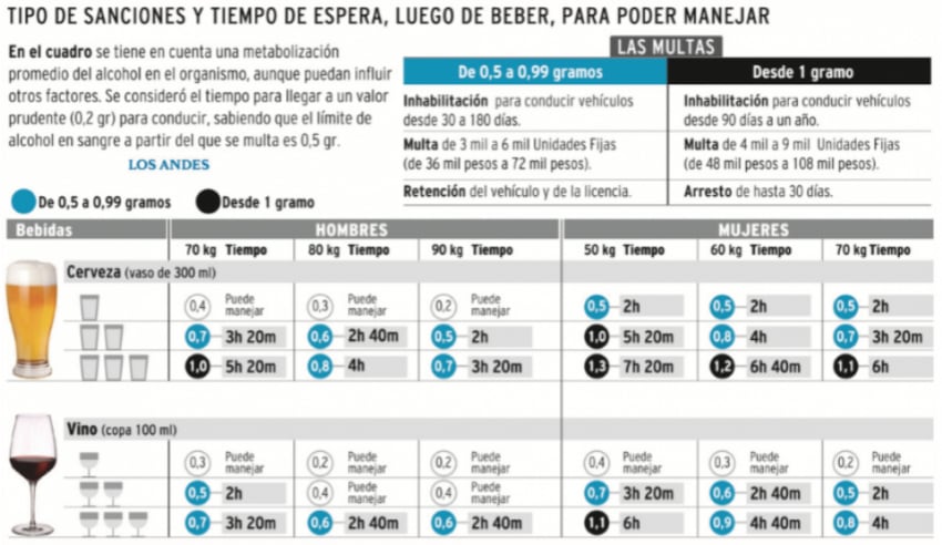 
    Infografía / Los Andes
   