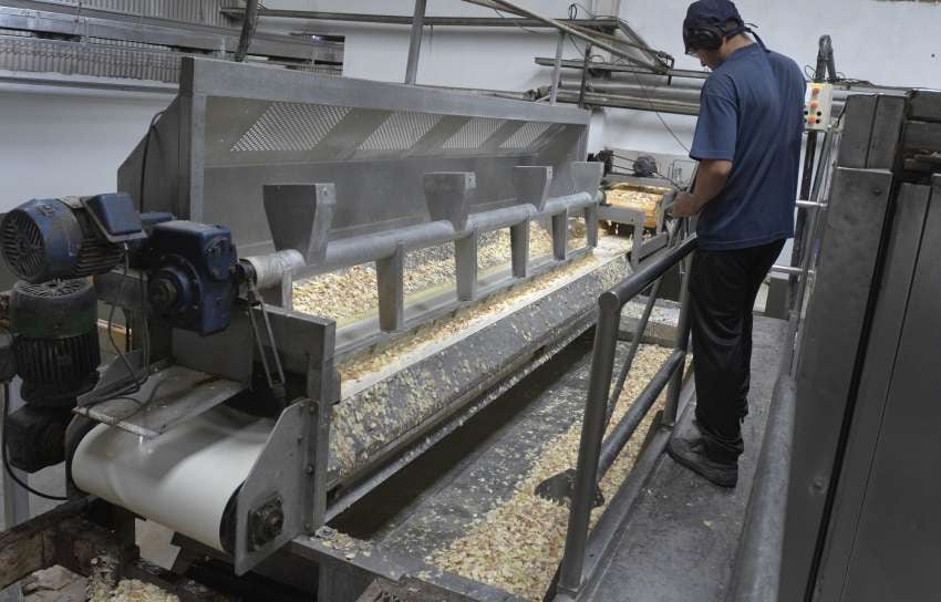 Desde 2014, los trabajadores sacaron adelante la empresa por medio de la creación de la Cooperativa La Terre. Foto: Orlando Pelichotti / Los Andes.