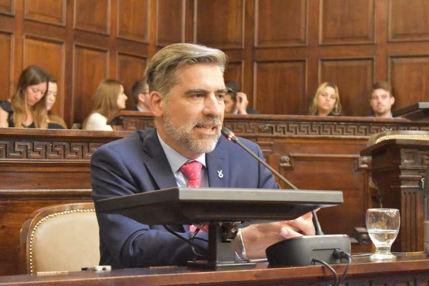 
    Mario Vadillo, diputado de Protectora
   