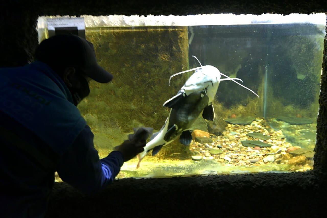 Cierran el Acuario Municipal para crear un Centro de Conservación de la Biodiversidad