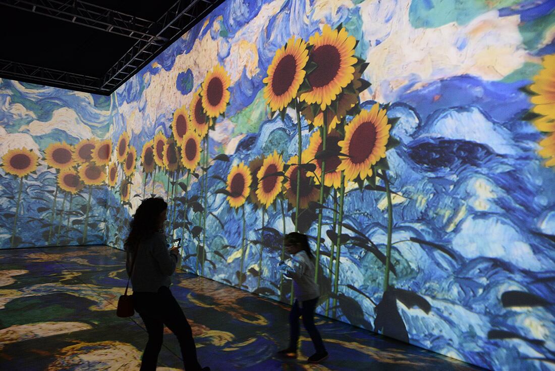 “Van Gogh, el sueño inmersivo” en Córdoba. La muestra que retoma la obra del pintor Vincent Van Gogh en plan multimedia ocupa cerca de 700 metros cuadrados en el Centro de Convenciones. (José Gabriel Hernández / La Voz)