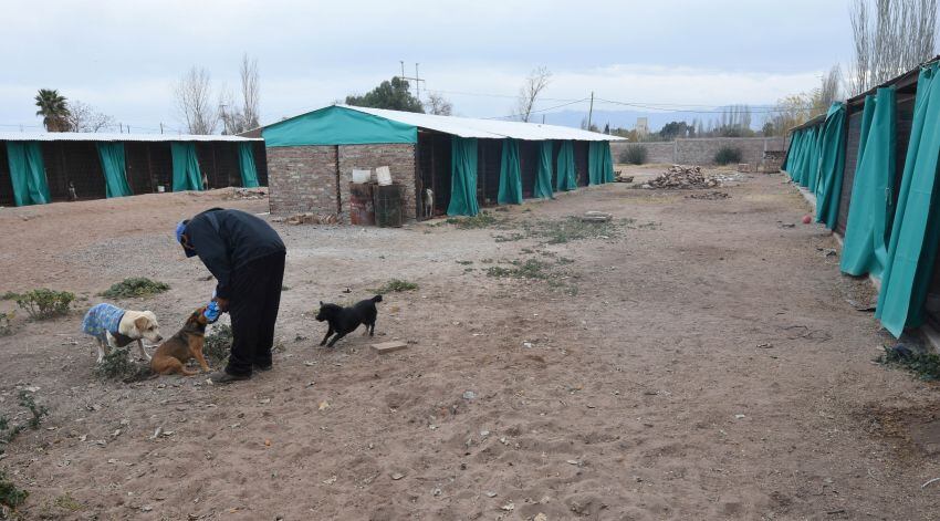 
    Gustavo Rogé / Los Andes
   