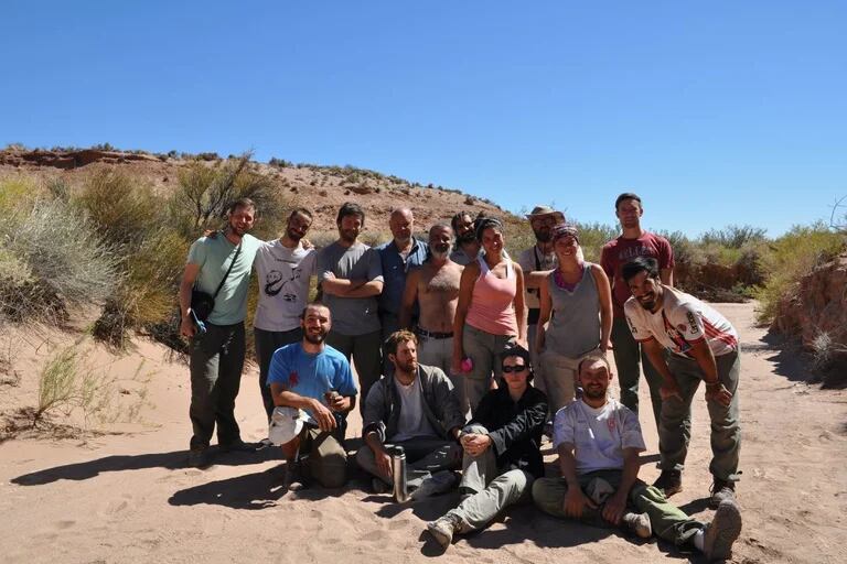 La especie fue descubierta en Río Negro y es el primer ejemplar de su tipo hallado en Argentina. Foto Infobae.