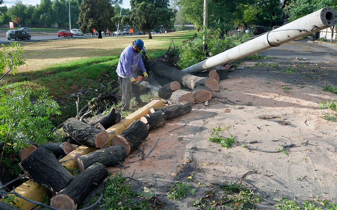 Árbol caído en la esquina Paso de los Patos y 25 de Mayo, Guaymallén.
Fuertes tormentas anoche en el Gran Mendoza.

Foto: Orlando Pelichotti